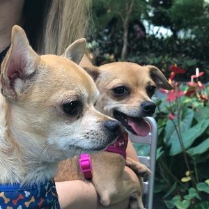 Meet your Posher, Maria